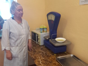 Родительский контроль организации питания.